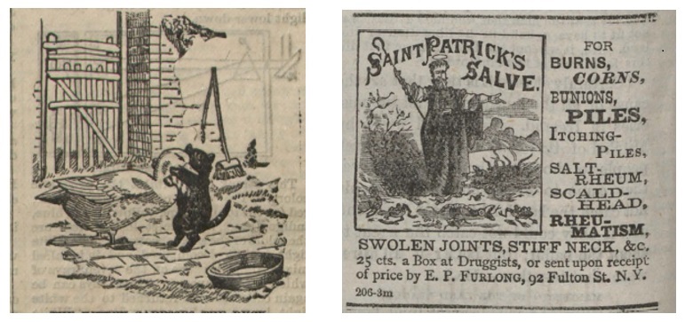 Cartoon of a duck and a cat embracing alongside an advertisement featuring St. Patrick